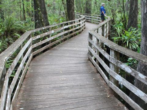 Audubon Corkscrew Swamp Sanctuary - Boardwalk