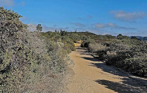 Trail in Manzanita County Park