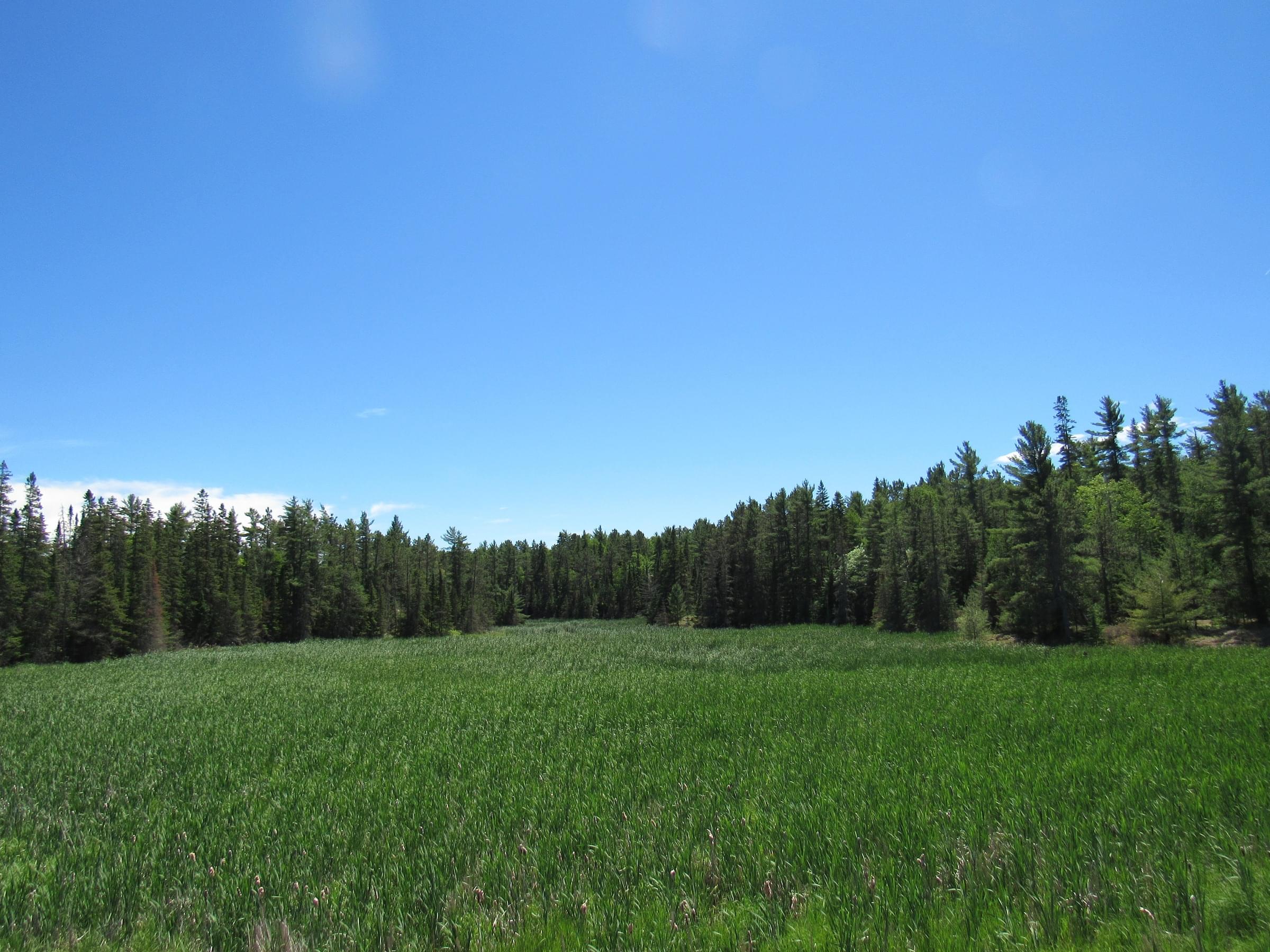 DesbaratsTKC Ripple Rock Preserve (restricted access) Algoma