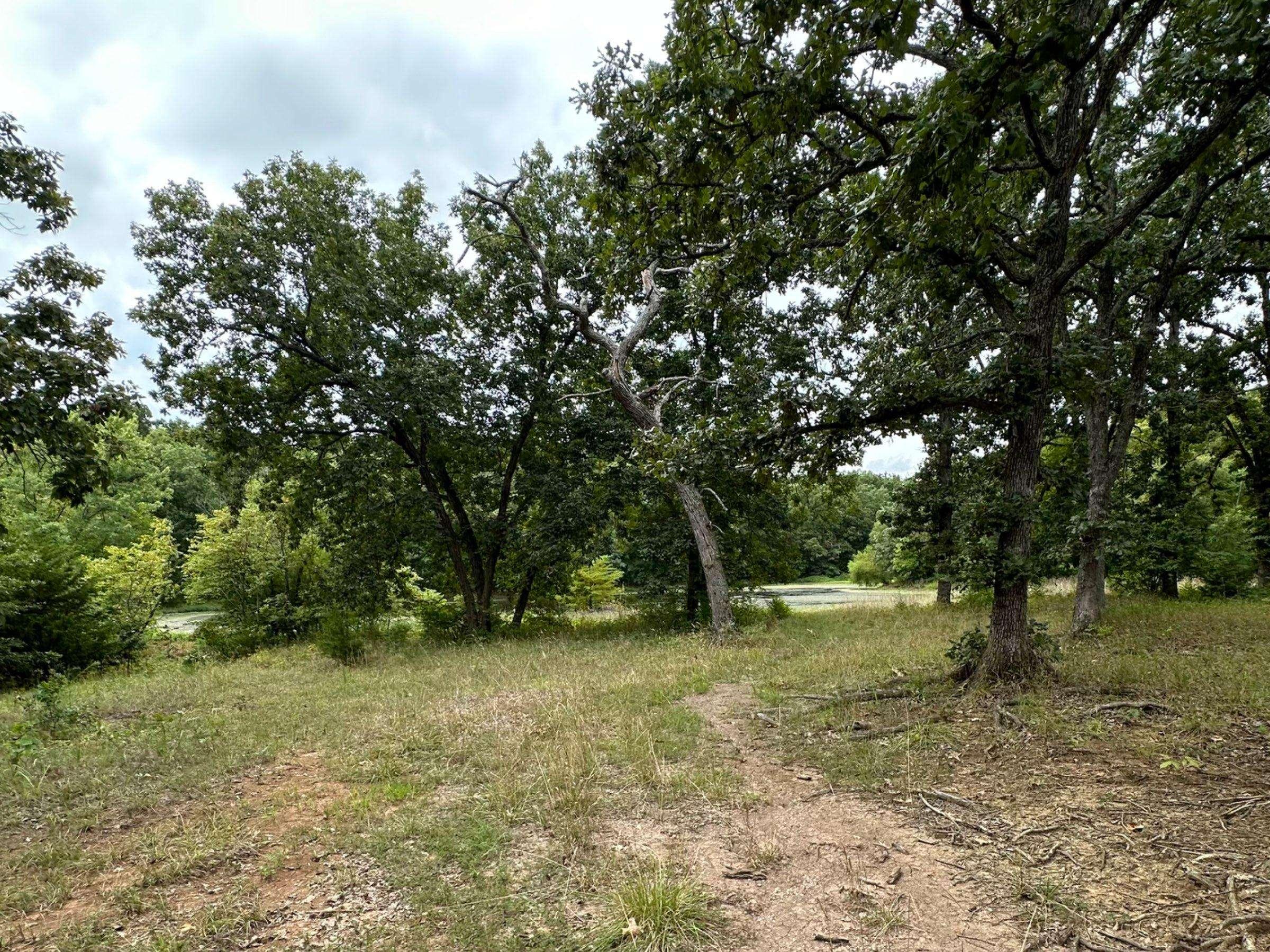 Blue and Gray Park Jackson, Missouri, US Birding Hotspots