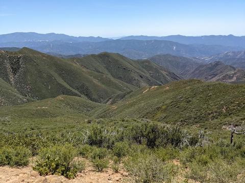 Bates Canyon seen from upper reaches (where chaparral has replaced the forest)