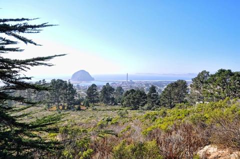 View of Morro Rock from Black Hill