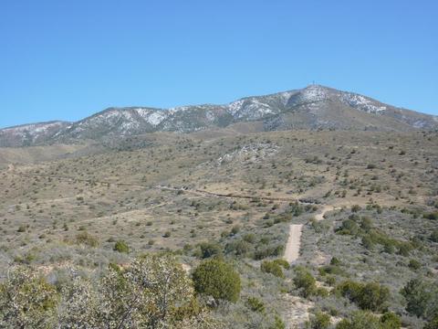 Black-chinned Sparrow and Gray Vireo habitat on lower Mt. Ord road