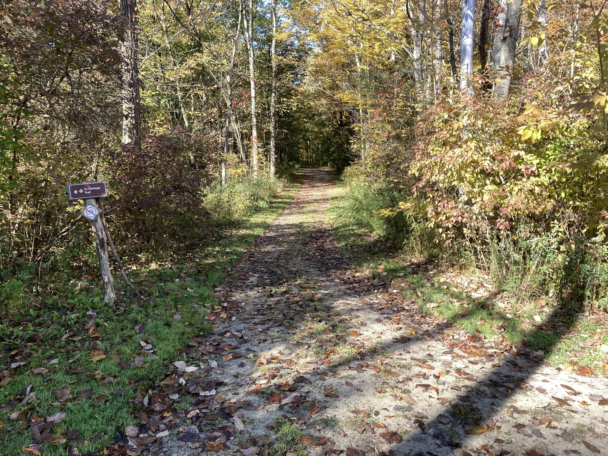 Hinckley ReservationBrooklyn Exchange Cabin Trails Medina, Ohio, US