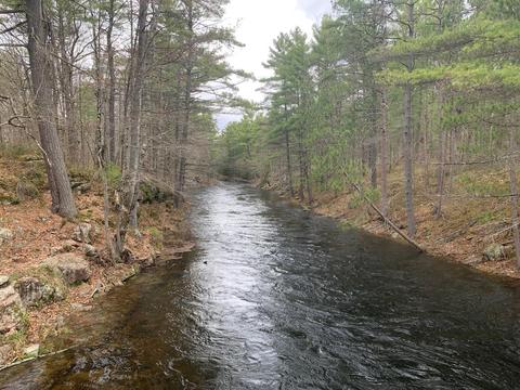 KHSS, Mississaugua River looking north from bridge, 5 May 2023
