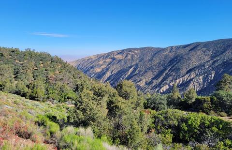 Upper Hudson Ranch Rd. Looking North - Ventura County