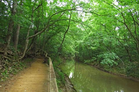Lanana Creek Trail near Park St.