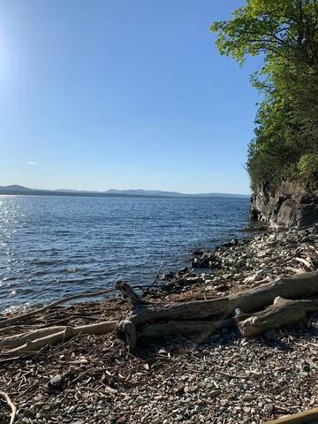Shallow rocky beach with driftwood in the foreground looking out over Whiskey Bay on Lake Champlain with the sun casting a bright track across gentle ripples with summer blue skies.
