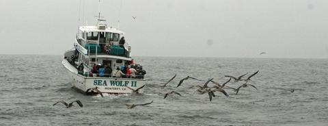 Birding boat heading into Monterey Bay