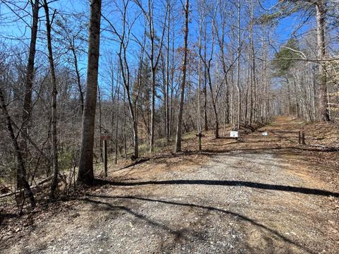 Fishing trail to left at Route 614 trail parking