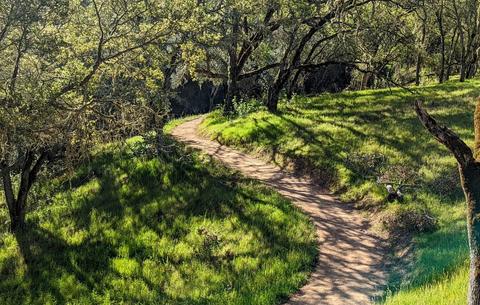Path on Three Bridges Oak Preserve