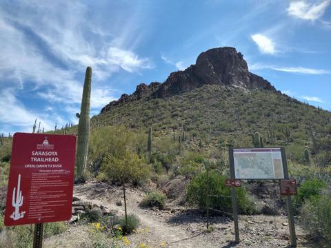 Little Cat Mountain seen from Sarasota Trailhead. Note No Dogs Allowed sign. April 2024