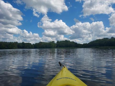 Kayaking is a great way to bird Lake Sequoyah