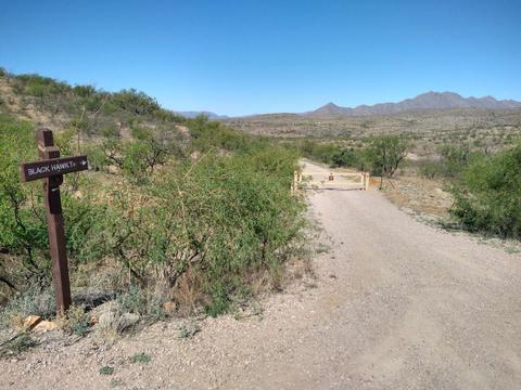 From the Sonoita Creek State Natural Area parking lot, walk down this gated road toward the spillway. April 2024