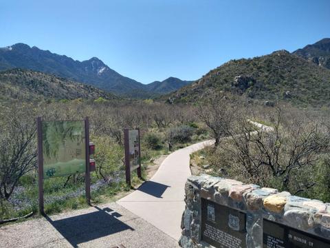 The beginning of the Proctor Loop Trail at Proctor Parking, April 8 2024