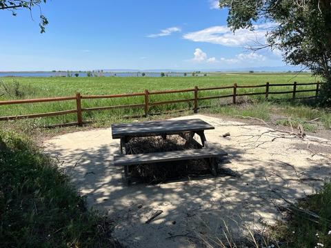 Picnic table in SE corner of viewing area, looking S toward lake