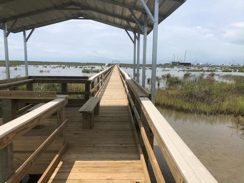 Halfway out the pier over the wetlands