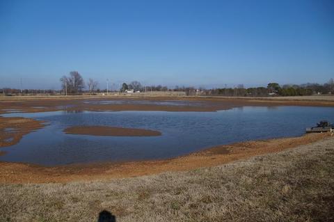 Some ponds will be empty/mudflats