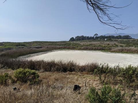 Dune Pond during a dry period