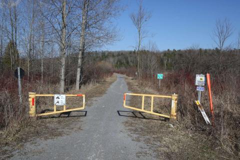 Lang-Hastings Trail, looking east from David Fife Line, Peterborough Co., ON, 28 March 2024