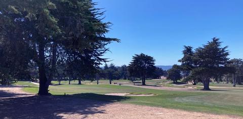 Bayonet golf course; more pine trees than all of Ft. Ord combined