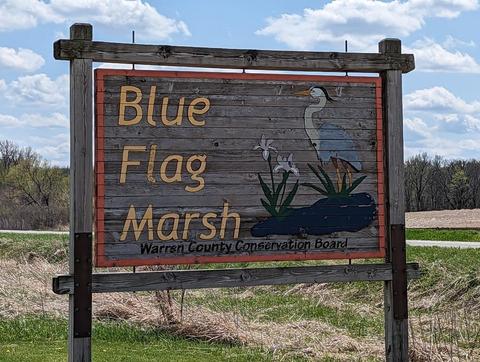 Blue Flag Marsh