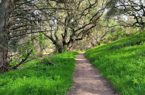 Orcutt Trail West