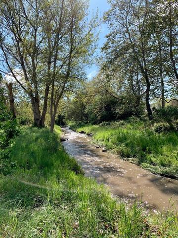 Creek in Spring. 