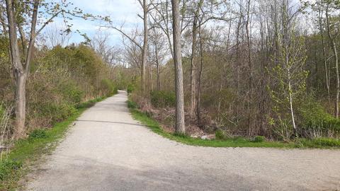 Trail on the west side of Shoreacres Creek (May 2024)