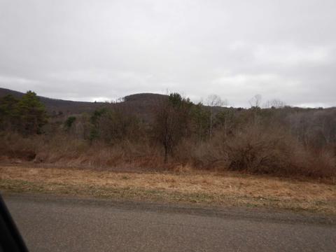 view from the road to the hillside where the deer exclosure is.