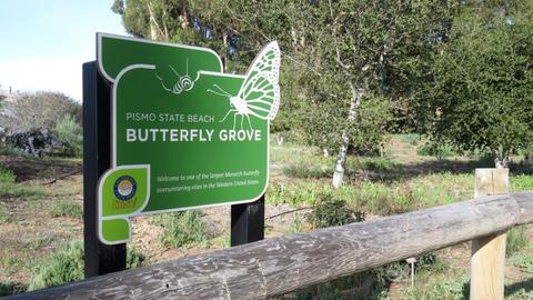 Butterfly Grove Sign