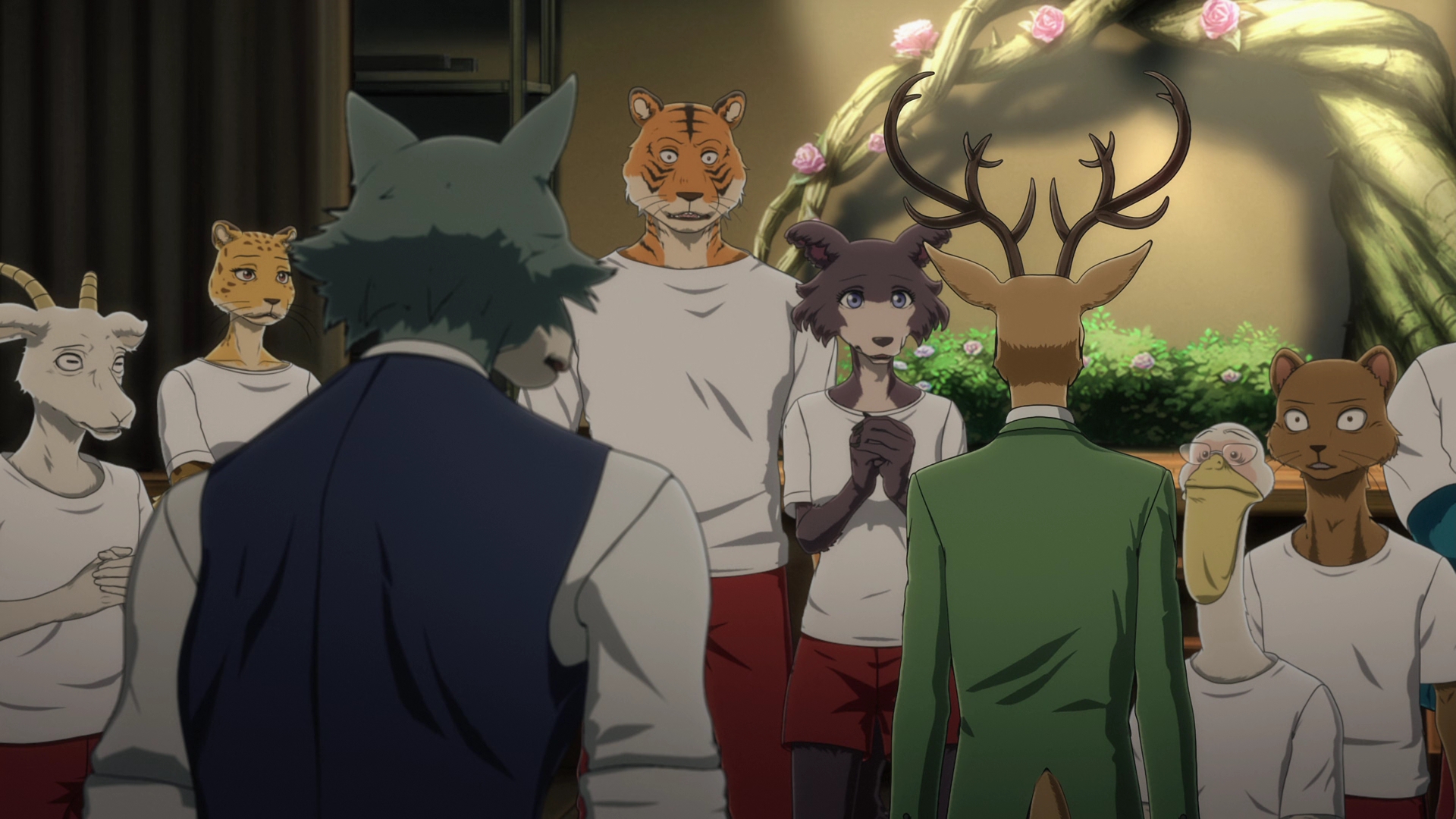 Beastars S2 – 13.mkv0034 – AngryAnimeBitches Anime Blog
