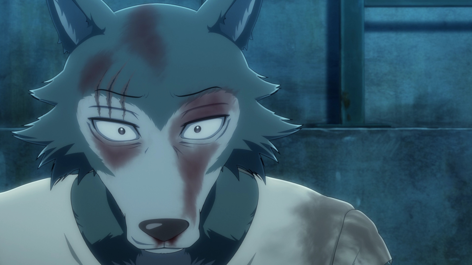 Beastars S2 – 12.mkv0042 – AngryAnimeBitches Anime Blog