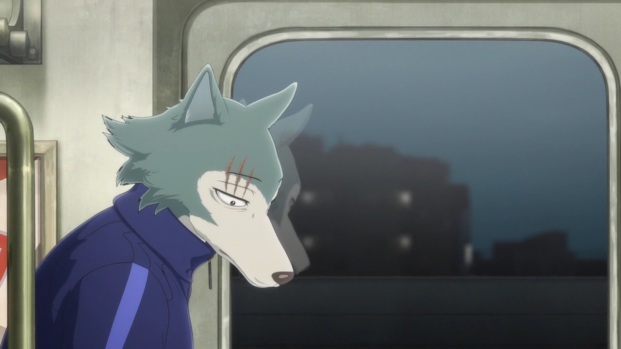 Beastars Season 2 11 Mp Angryanimebitches Anime Blog