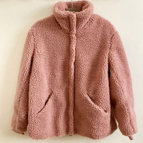 Featured image for Teddy coat rose