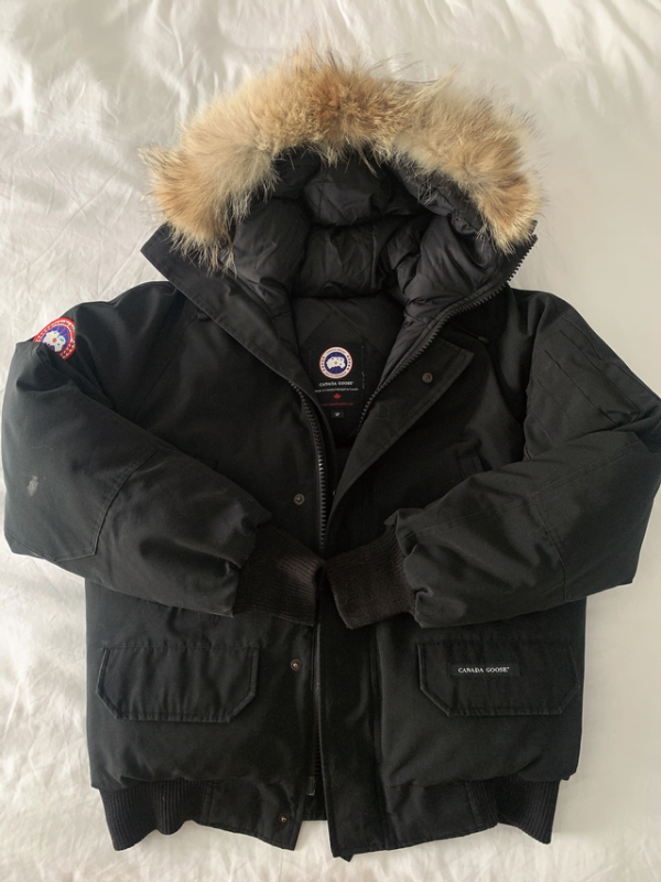 Featured image for Manteau Canada Goose (Aviator Homme)