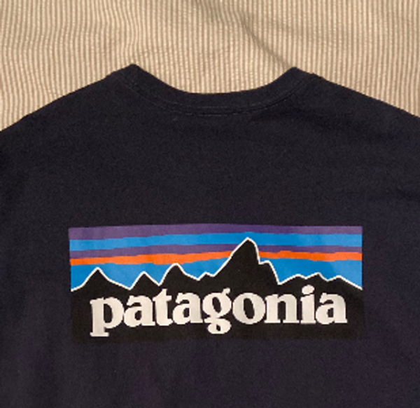 Image for T-shirt Manche longue Patagonia