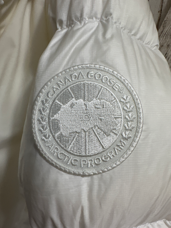 Image for Canada goose