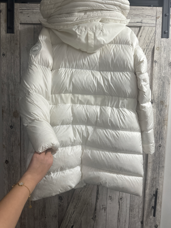 Image for Canada goose
