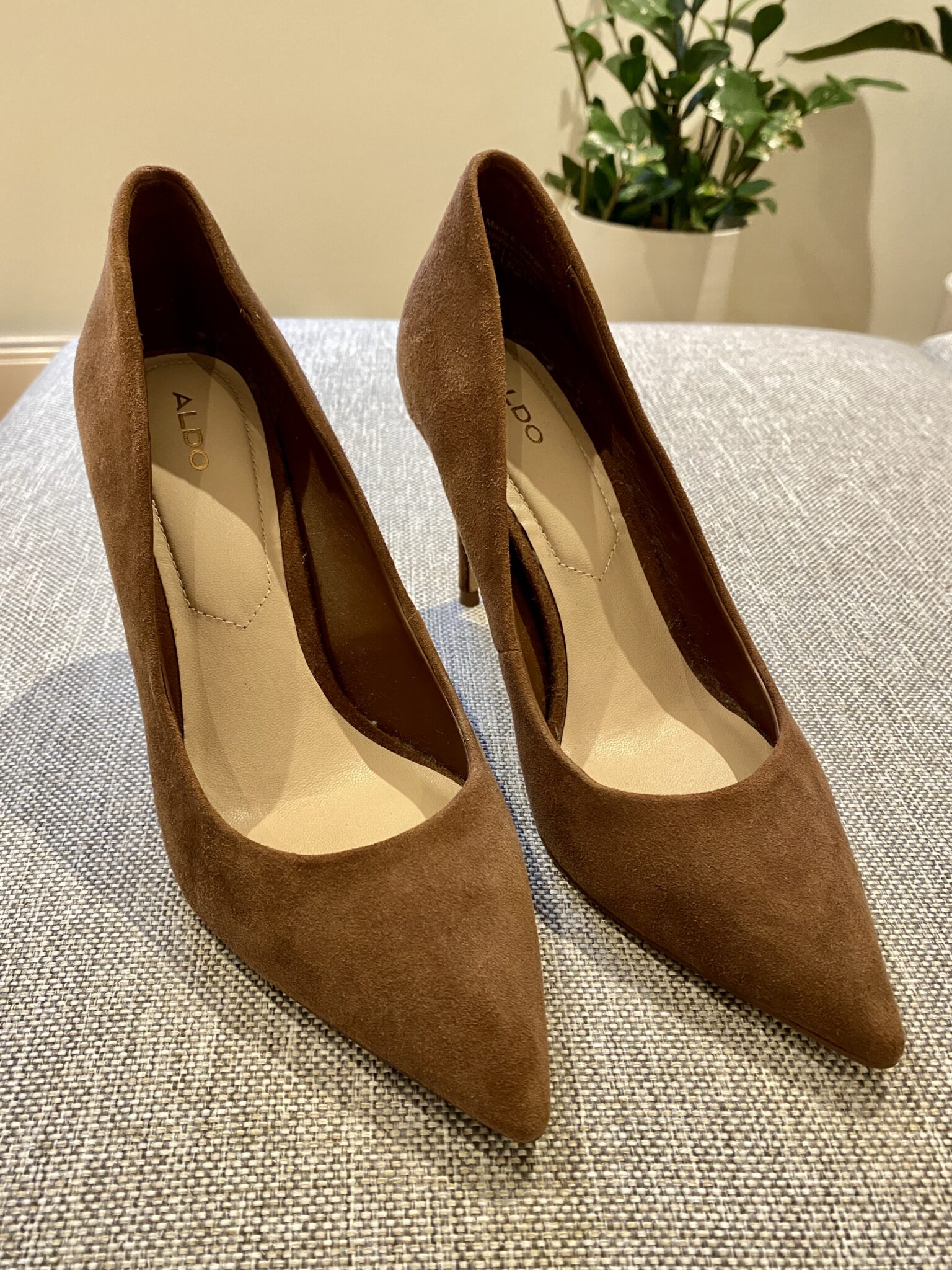 Featured image for Talons Aldo
