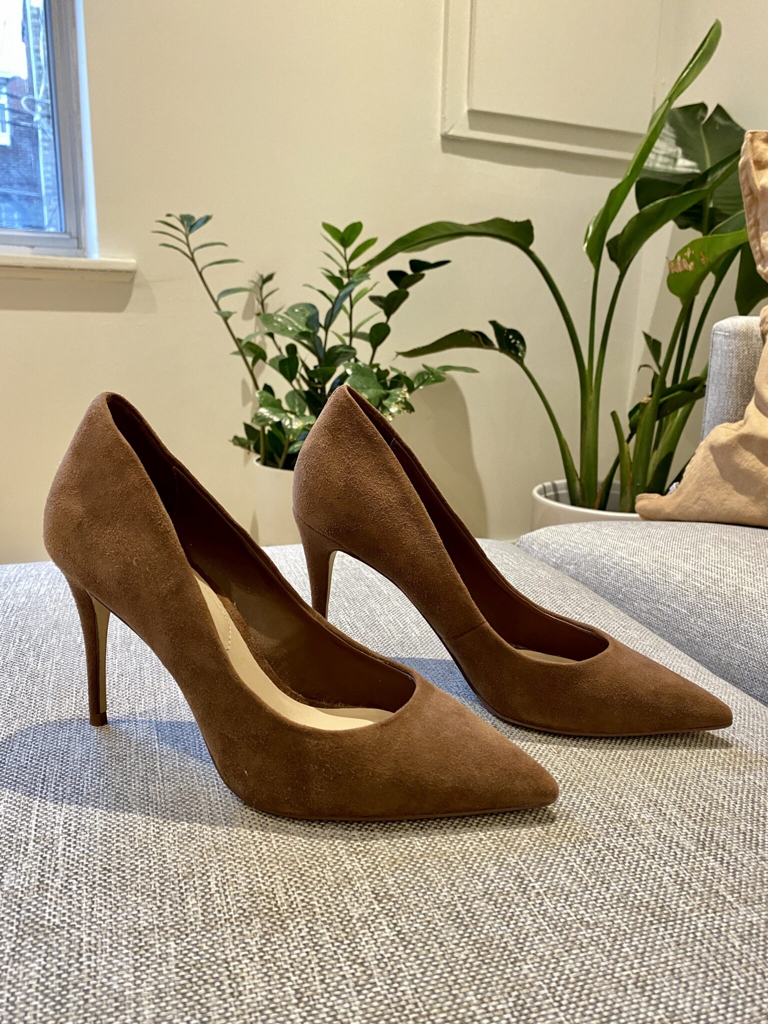Image for Talons Aldo