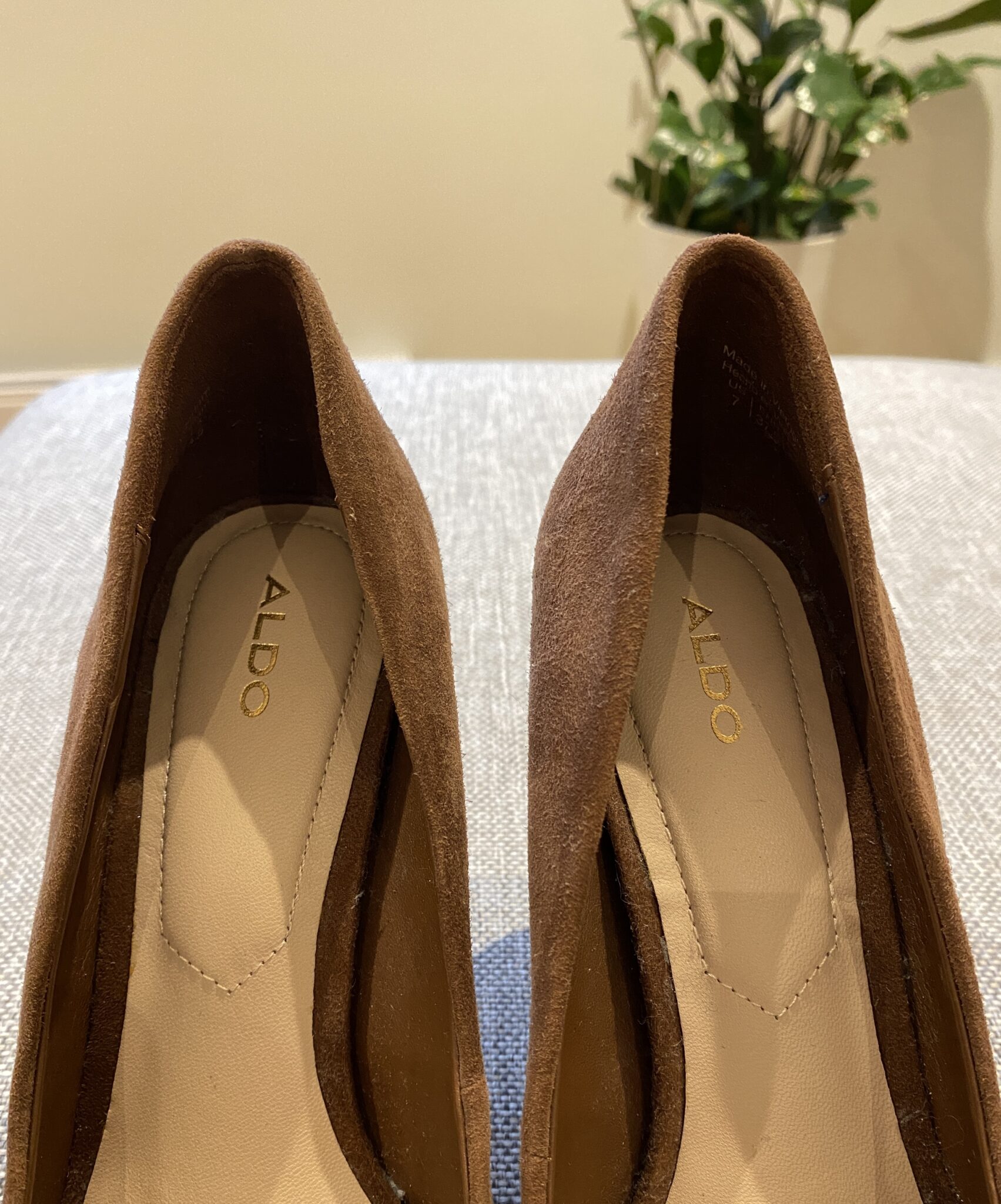 Image for Talons Aldo
