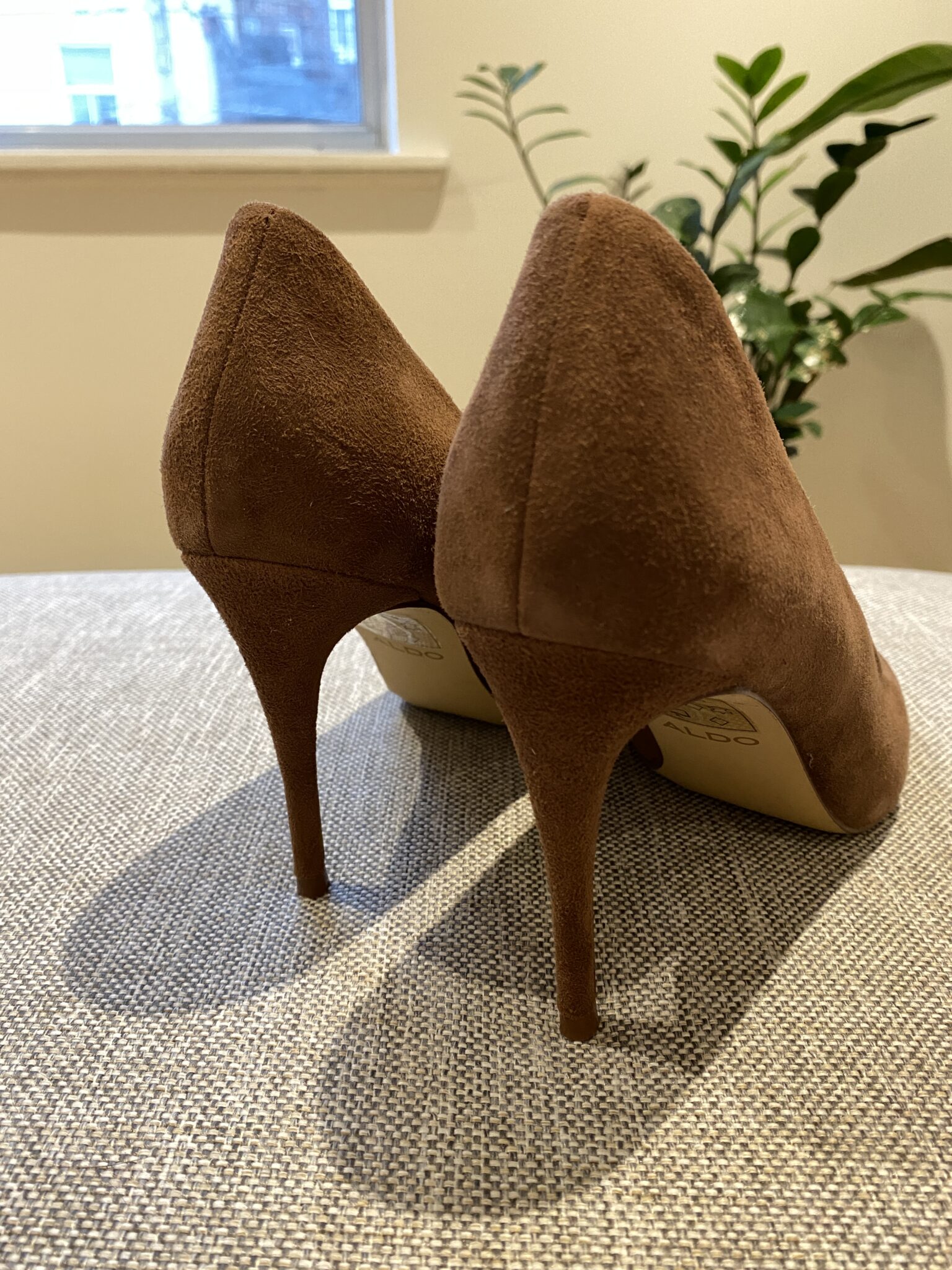 Image for Talons Aldo