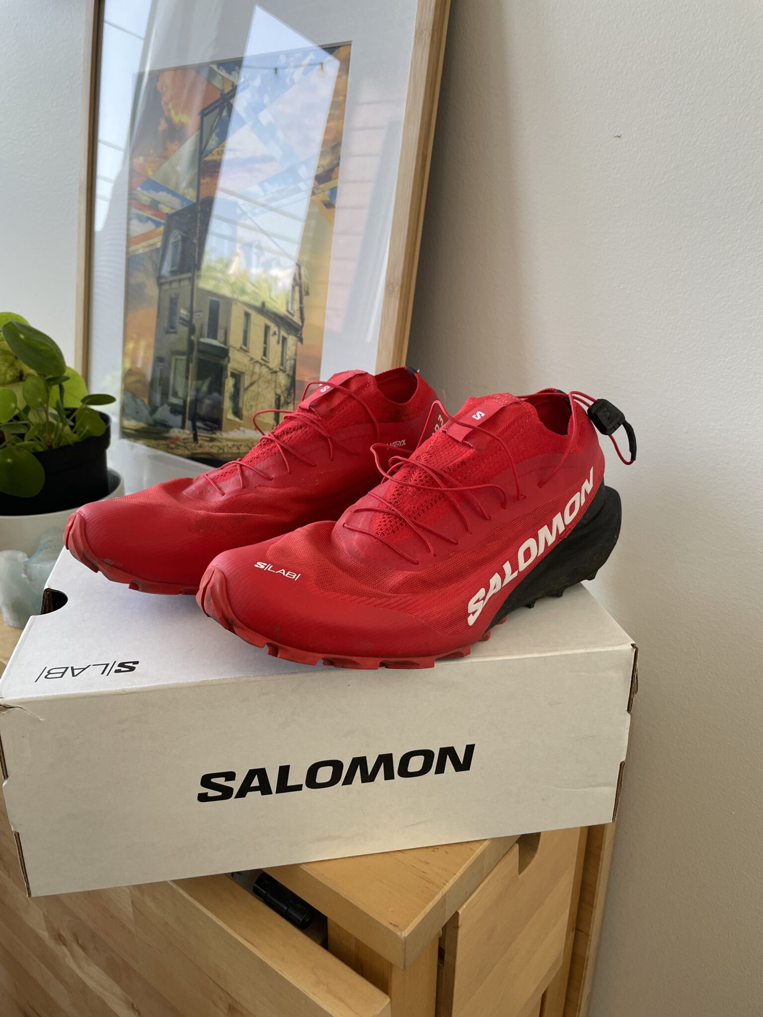 Featured image for Running trail shoes Salomon