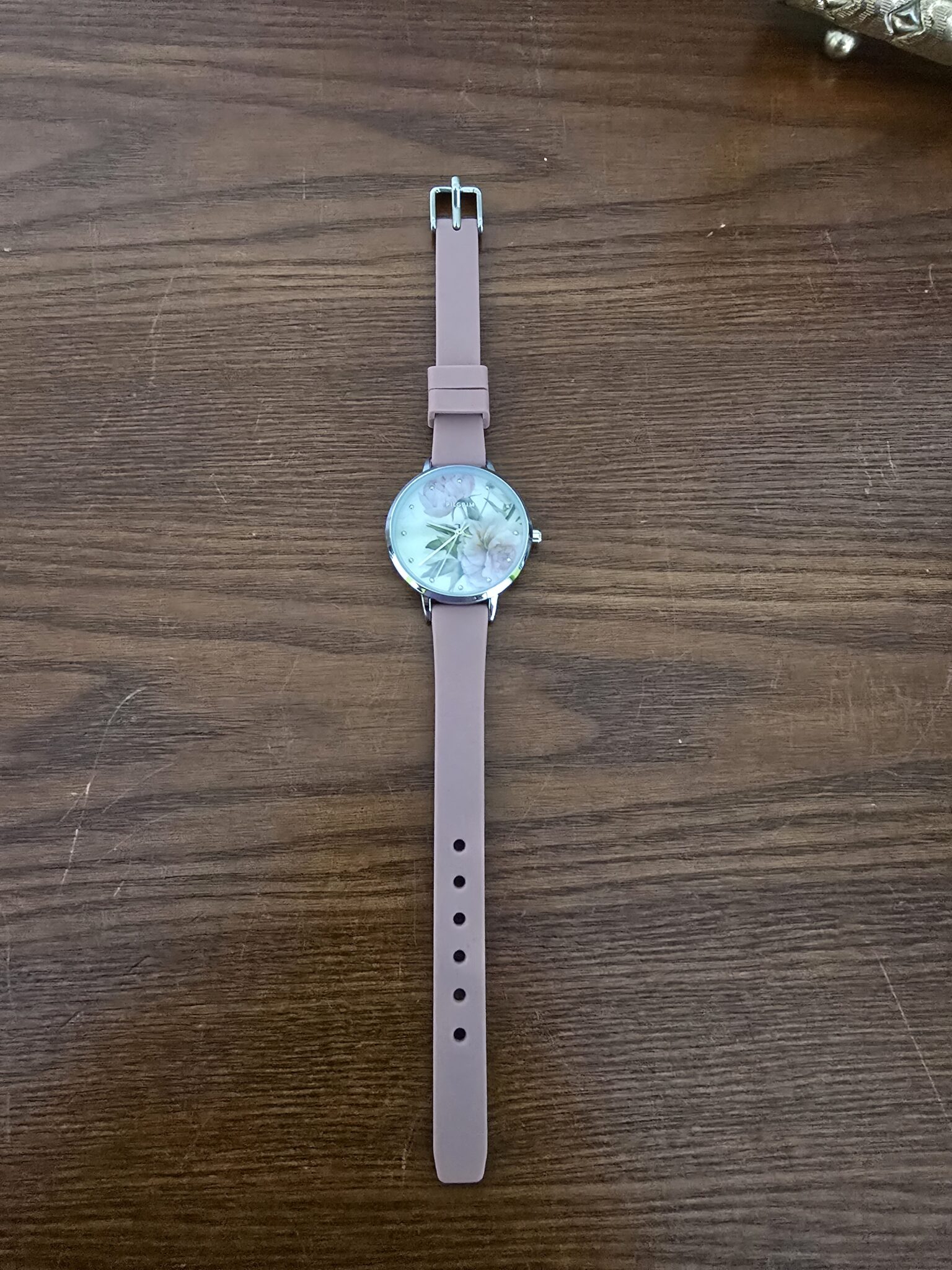 Featured image for PILGRIM MONTRE