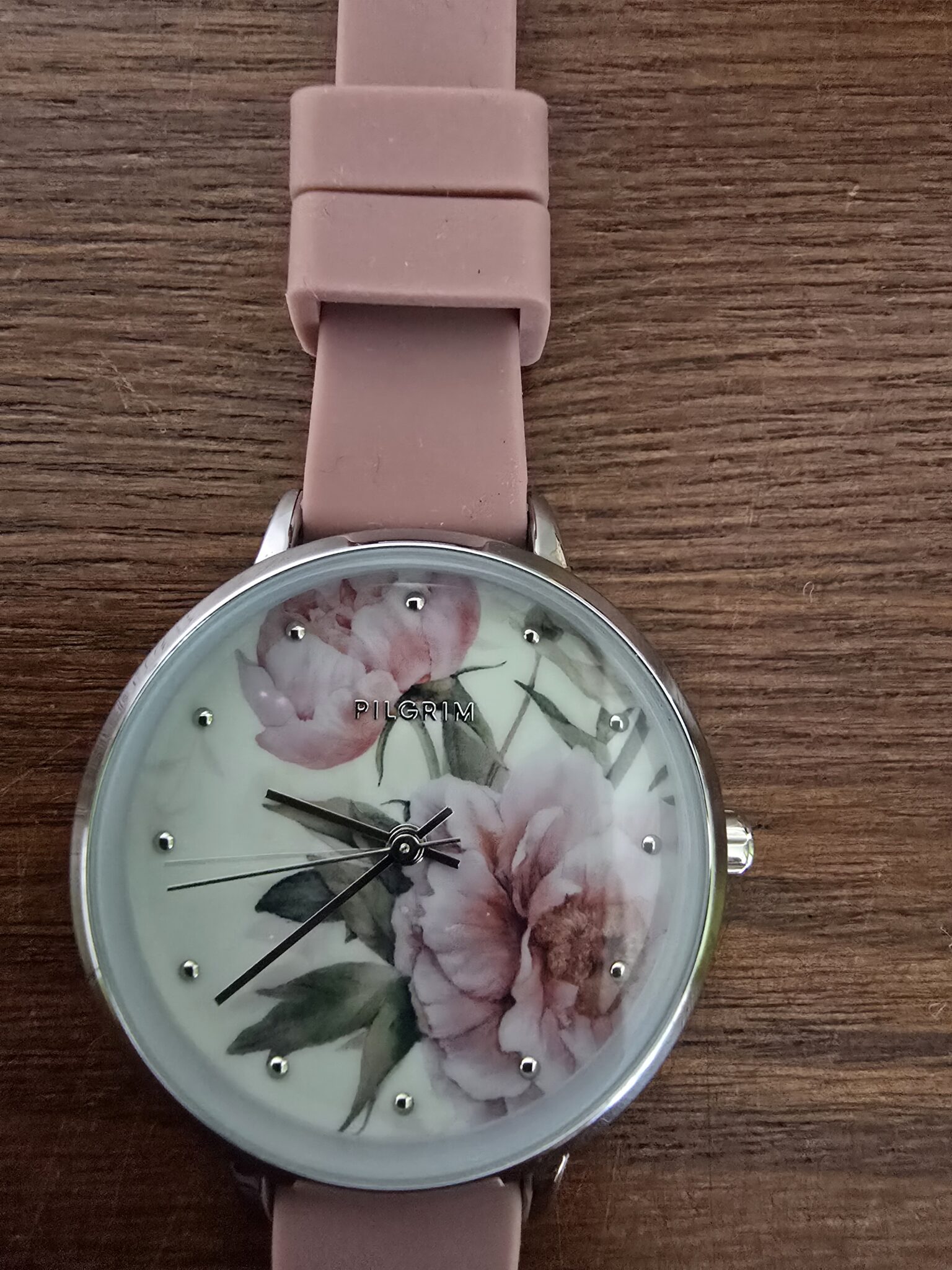 Image for PILGRIM MONTRE