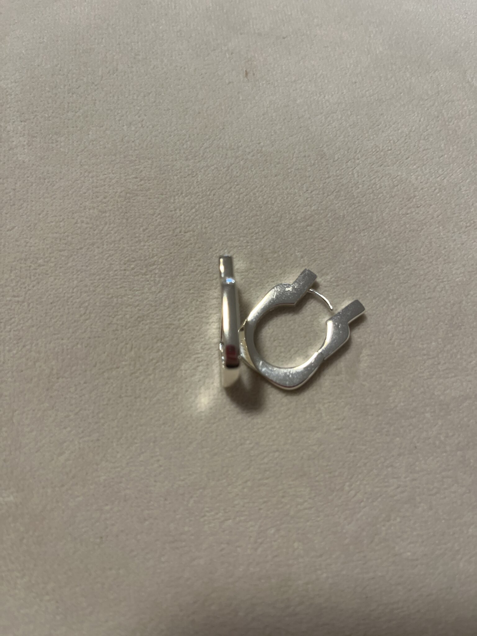 Image for Pilgrim earrings