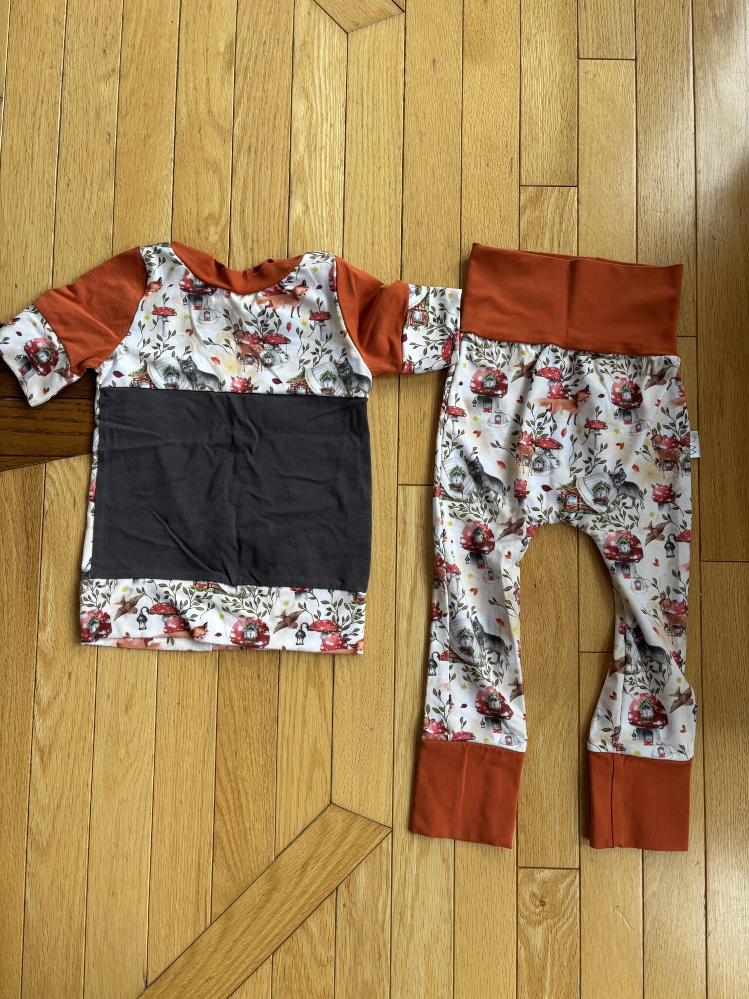 Featured image for Ensemble évolutif 12-36 mois