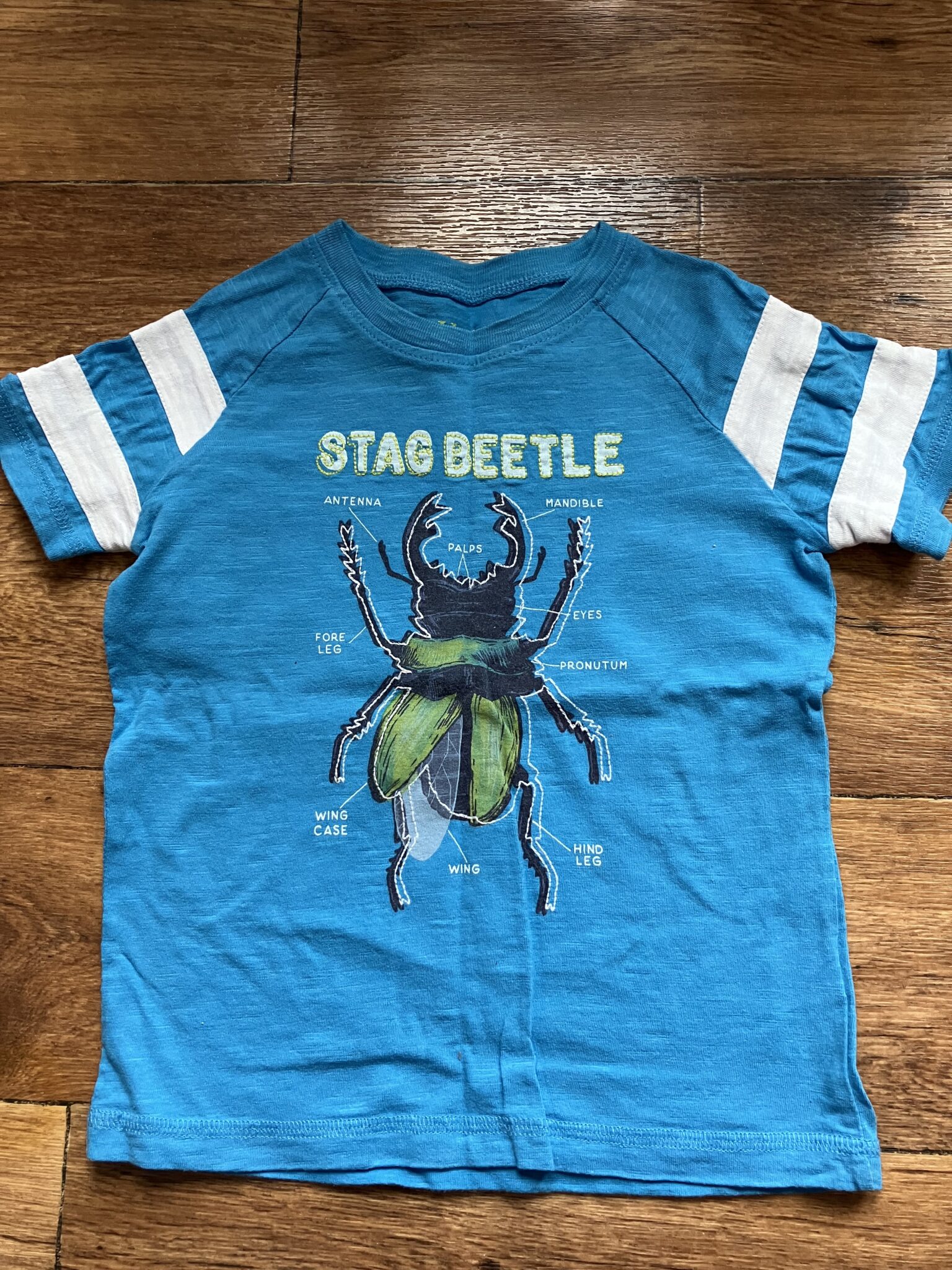 Featured image for T-shirt Hatley 3 ans