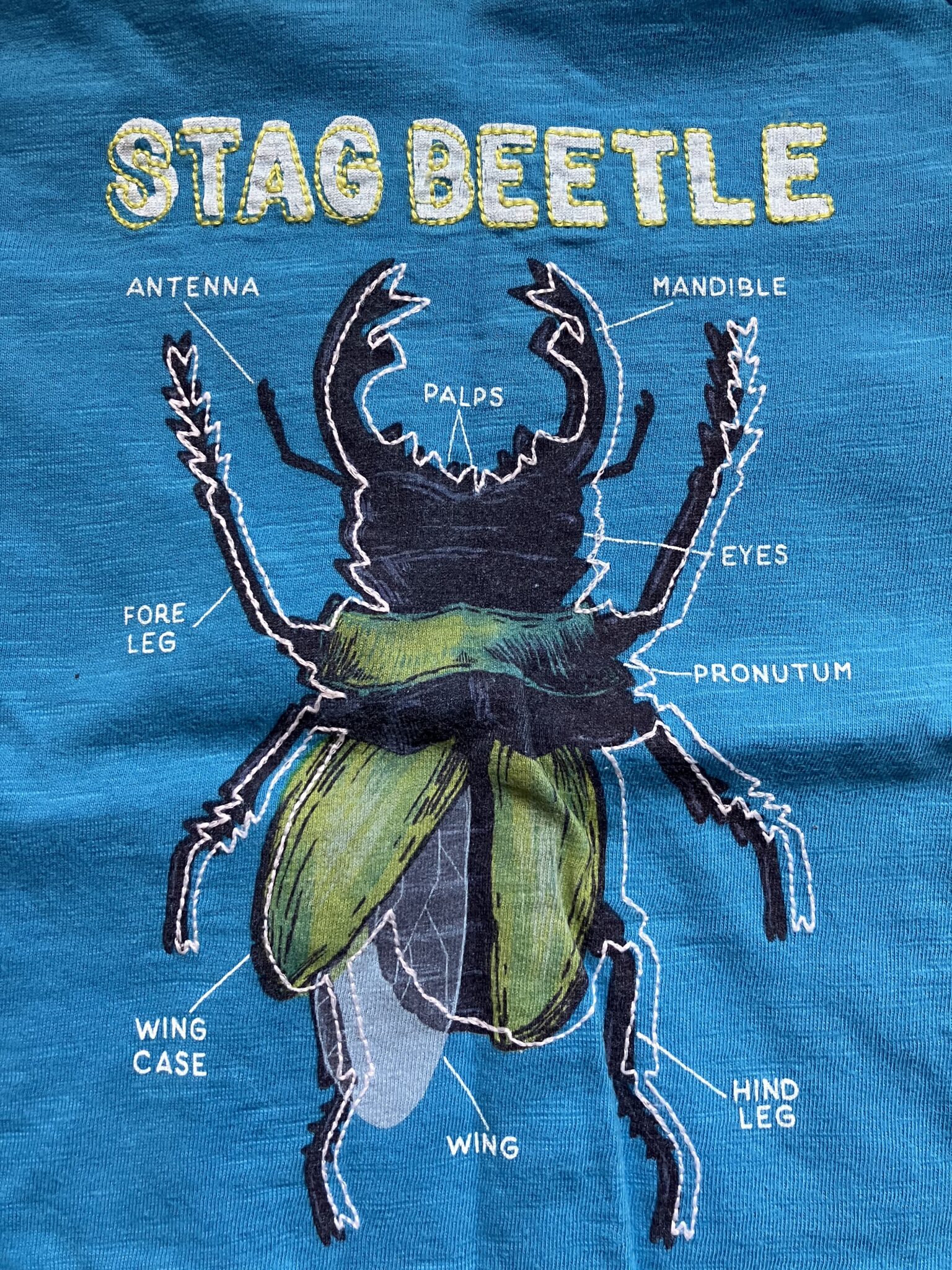 Image for T-shirt Hatley 3 ans